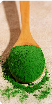 Chlorophyllin