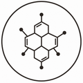 Progesterone Rises After Ovulation